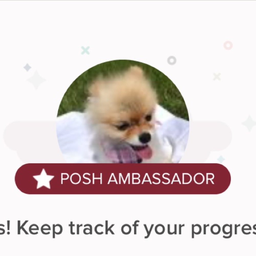 Officially a Poshmark Ambassador!!!